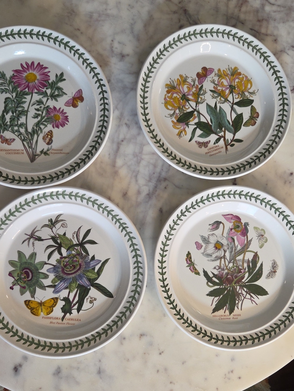 Vintage | Portmeirion The Botanic Garden Dinner Plates 10.5" Set 4 - Picture 5 of 7